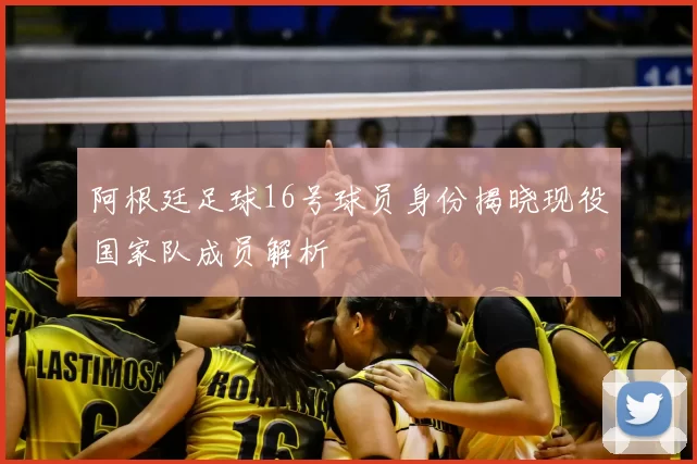 阿根廷足球16号球员身份揭晓现役国家队成员解析